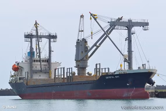 17 Vietnamese crew members rescued in foreign waters -0