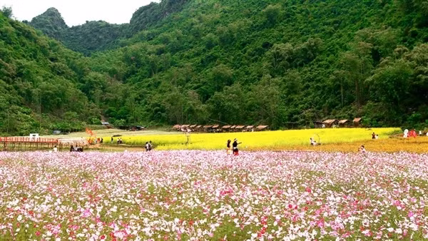 Mang Den Culture Festival 2023 to take place in late November ảnh 3