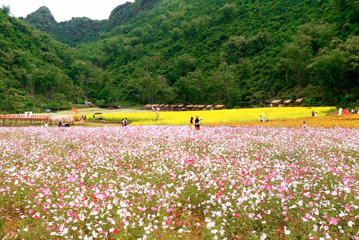 Autumn Festival set to enliven Bac Ha mountains -0