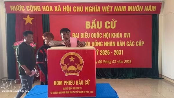 Vietnam becomes vital player in global semiconductor value chain: Deputy PM ảnh 2
