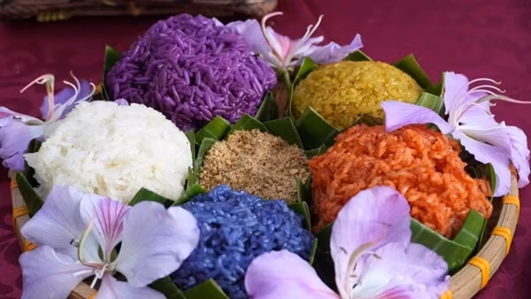 Vietnam tourism shifts gears as travellers seek flexibility and authenticity ảnh 5