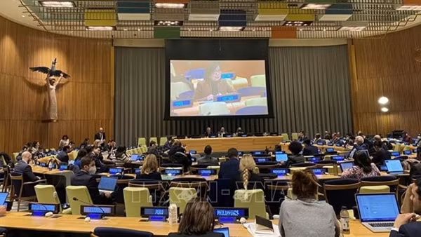 EC acknowledges Vietnam’s efforts in IUU combat: ministry ảnh 2
