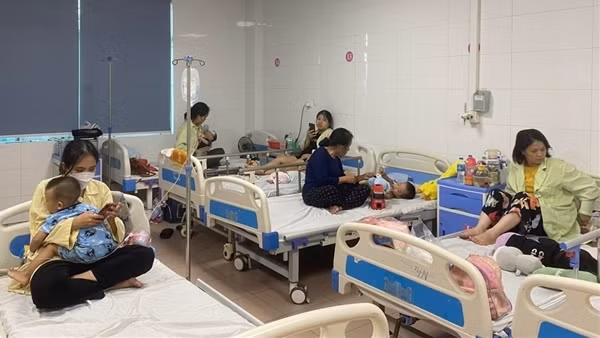 Vietnam to join Japanese dengue fever vaccine trials ảnh 2