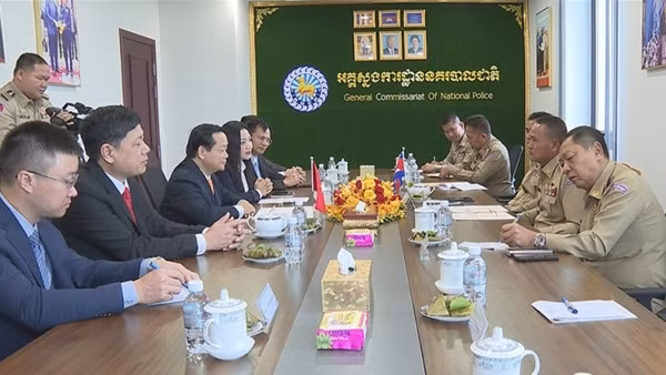 Border defence forces of Vietnamese, Chinese provinces hold joint patrol ảnh 3