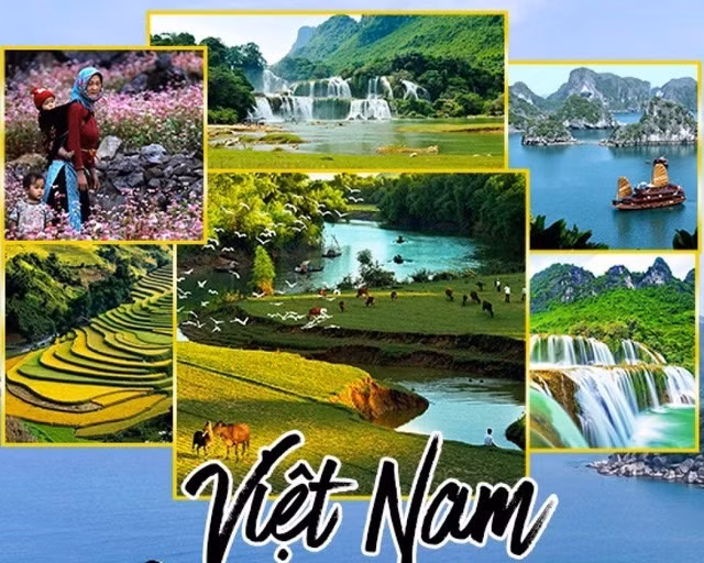 International search volume for Vietnam sharply increases -0