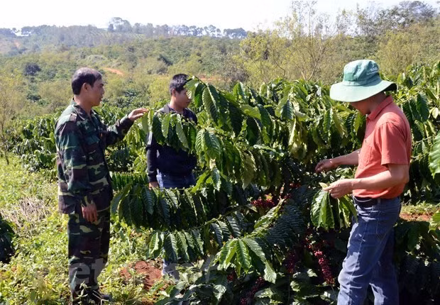 Poverty alleviation undertaken in southern ethnic minority areas -0