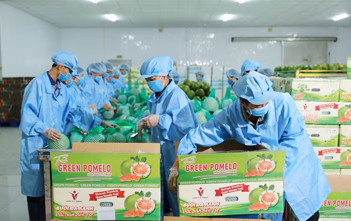 Vietnam strives to increase competitiveness for exports to US market -0