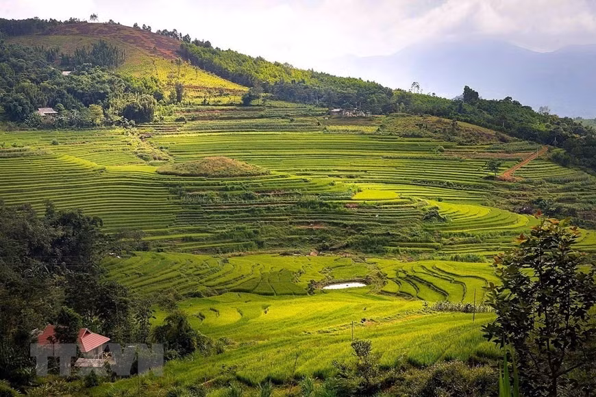 Peaceful charm of Mien Doi terraced rice fields -5