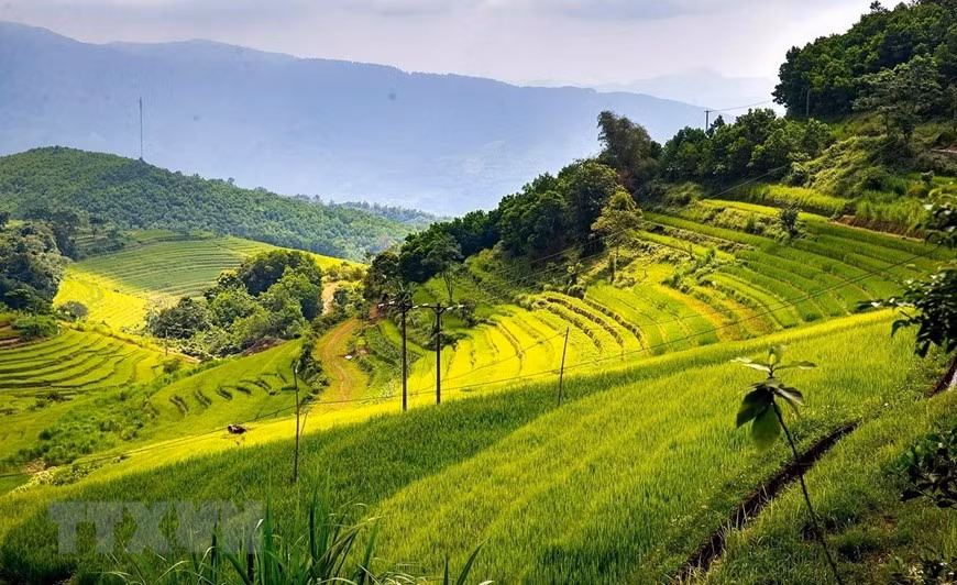 Peaceful charm of Mien Doi terraced rice fields -4