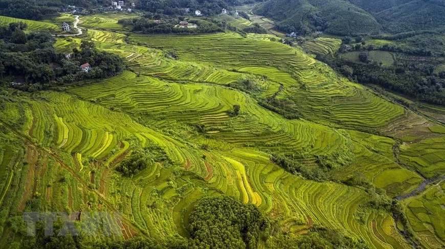 Peaceful charm of Mien Doi terraced rice fields -1