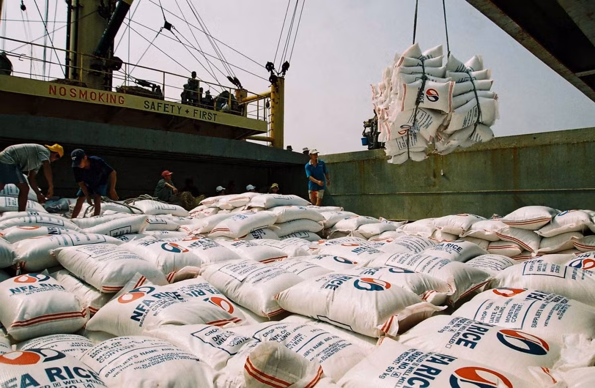 Rice exports maintain growth momentum -0