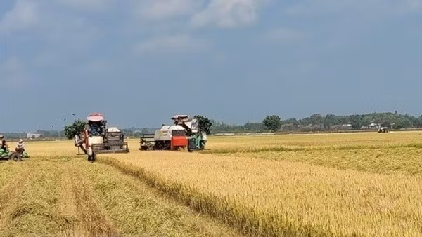 Vietnamese high-quality products promoted at Thaifex Anuga 2023 ảnh 2