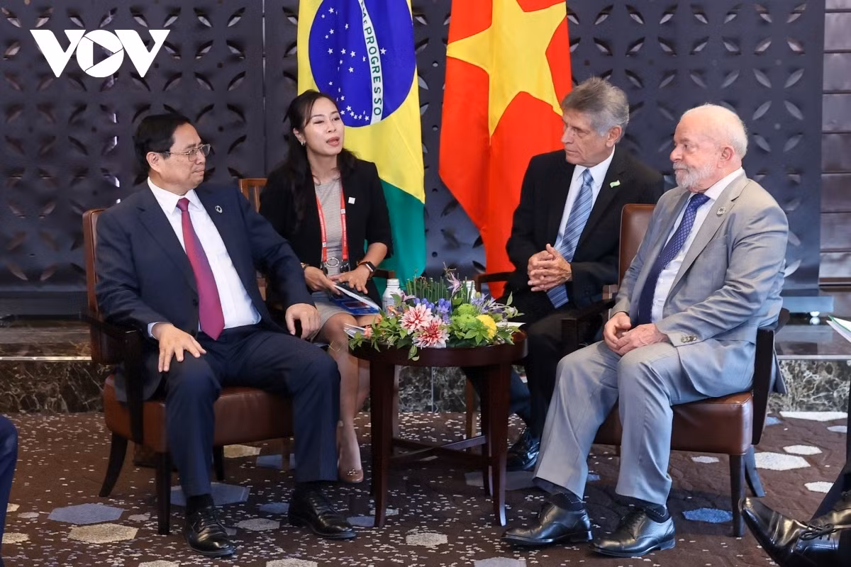 Vietnamese cabinet leader meets with Presidents of Brazil, Ukraine -0