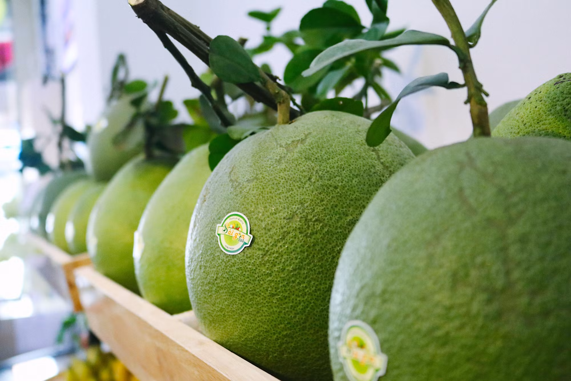 Vietnamese pomelo to enter US market v -1