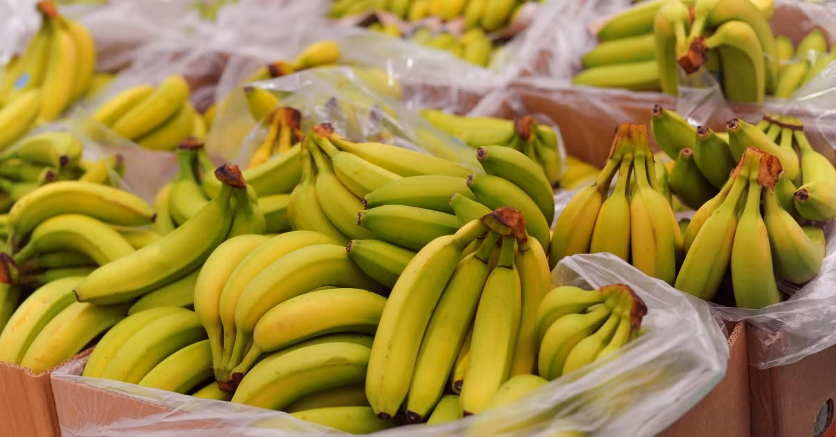 Vietnam officially exports bananas to China -0