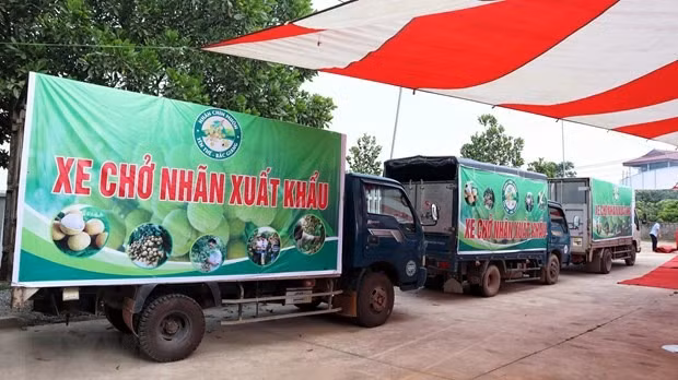 Bringing Vietnam – Australia ties to new development page -0