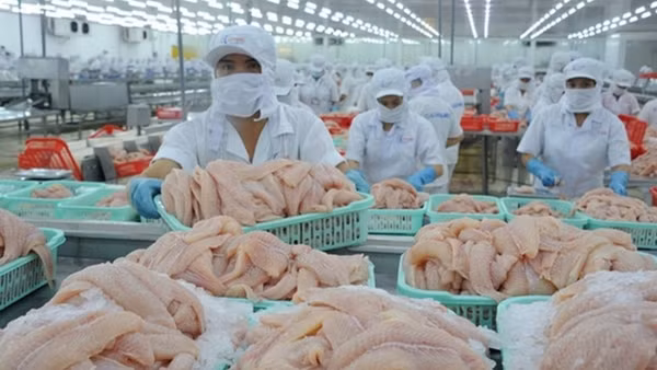 German businesses interested in Vietnam ảnh 3