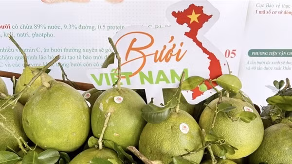 Vietnam export promotion forum takes place in HCMC ảnh 2