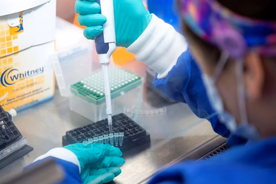 Omicron thrives in airways, not lungs; new data on asymptomatic cases -0