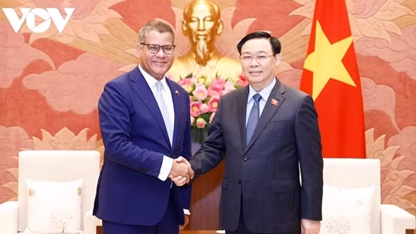 Vietnam takes steps towards net zero emissions ảnh 2
