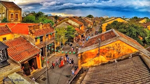 Cherry-like apricot blossoms brighten Lang Biang plateau ảnh 5