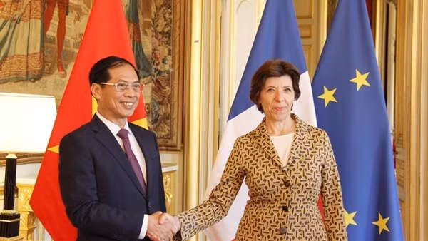 Vietnam always considers France a priority partner: PM ảnh 3