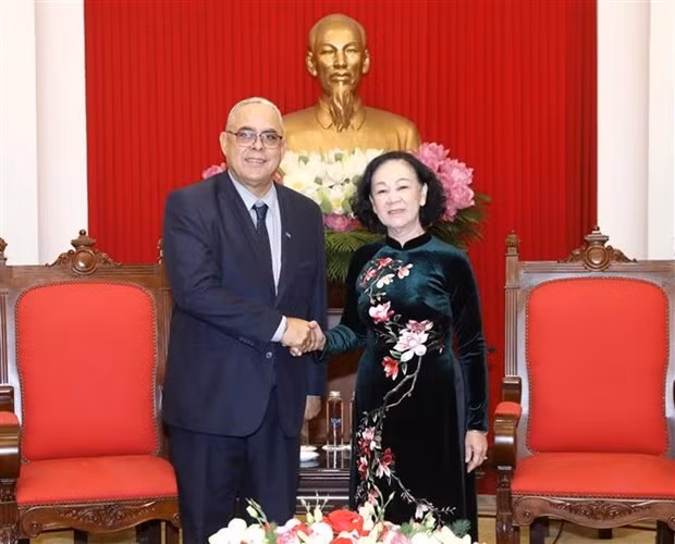 Party official reaffirms Vietnam’s solidarity with Cuba -0