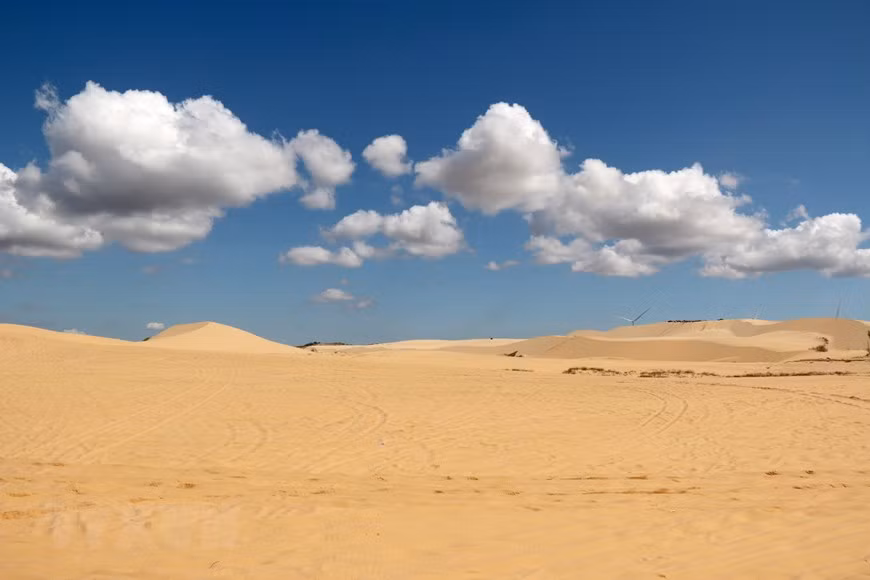 The wild beauty of 