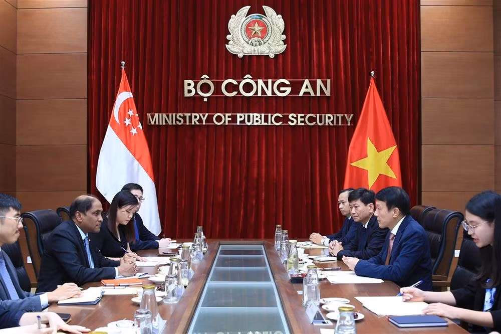 Minister Luong Tam Quang hosts Singaporean Ambassador -0