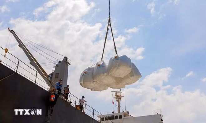 Vietnam exports over 8 million tonnes of rice, earning 4.1 billion USD in 2025 -0