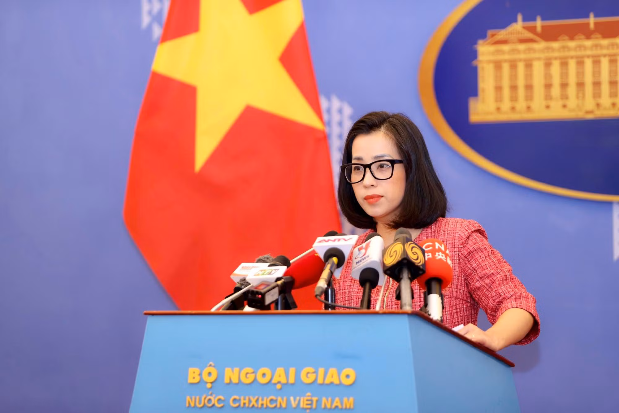MoFA clarifies Vietnam’s viewpoint on missing MH370 aircraft film contains inaccurate content -0