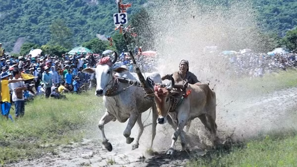 Khmer culture, sport and tourism festival underway in Soc Trang ảnh 2