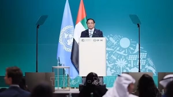 UN agencies’ UPR report contains unobjective contents: Deputy Spokesman ảnh 2