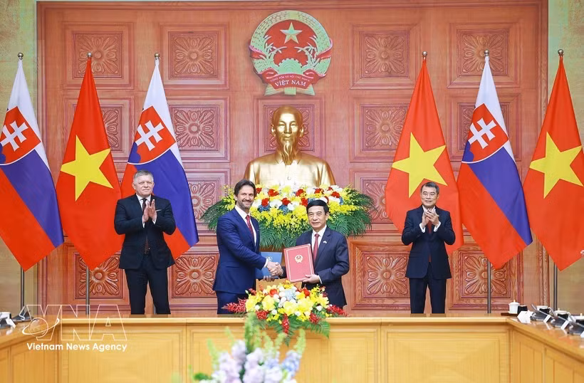 Vietnamese, Slovak PMs witness exchange of documents, chair joint press briefing -0