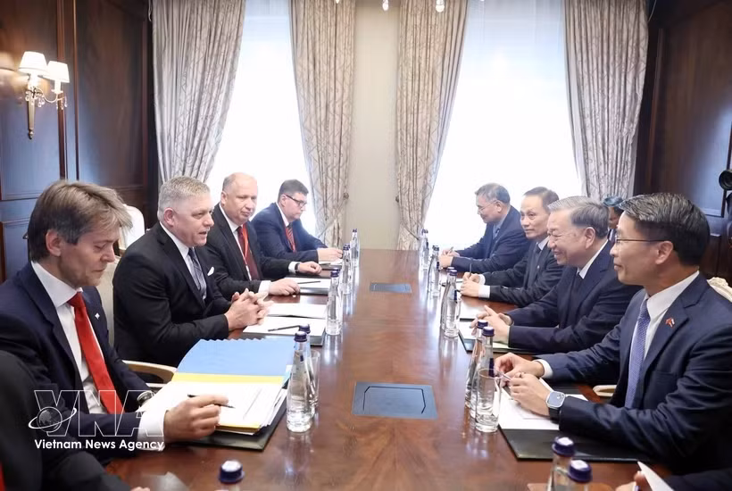 Vietnam, Slovakia look to promote substantive cooperation in bilateral ties -0