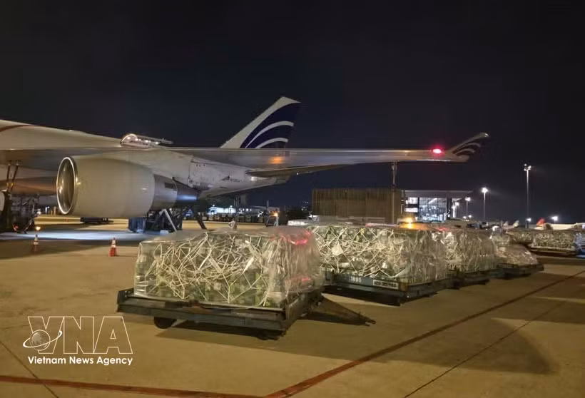 Nearly 100 tonnes of Vietnamese fruits, vegetables airlifted to UAE -0