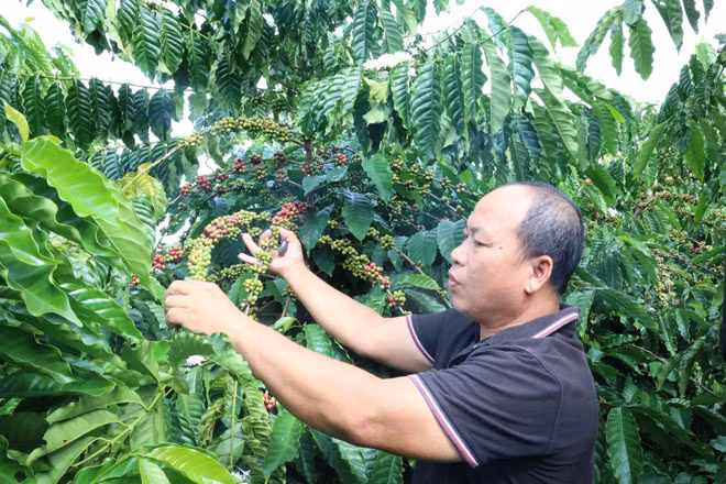 Agriculture sector on path to 74 billion USD in export revenue -0