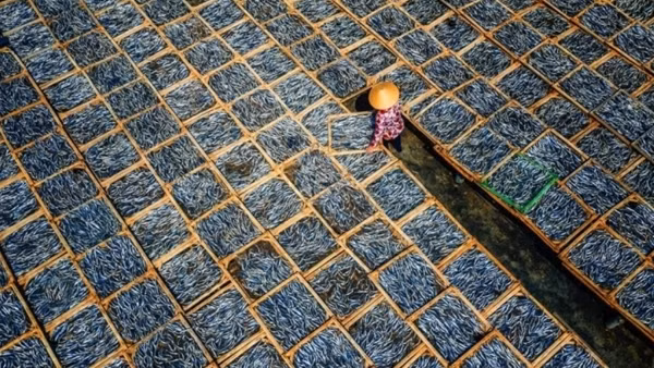 Photo contest launched to promote Vietnam tourism ảnh 3