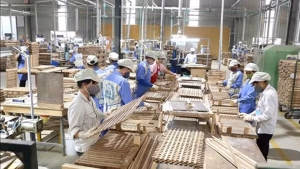 US extends investigation into wooden cabinets from Vietnam ảnh 4
