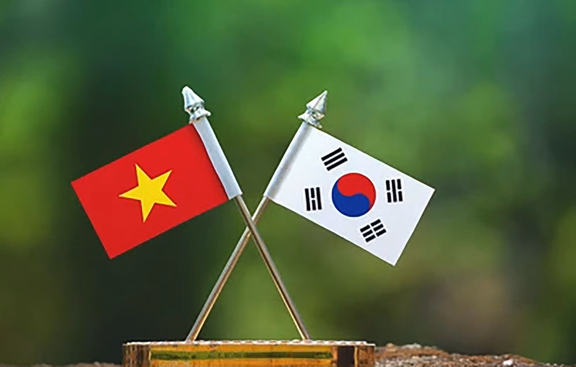 Greetings extended on 30th anniversary of Vietnam-RoK diplomatic ties -0