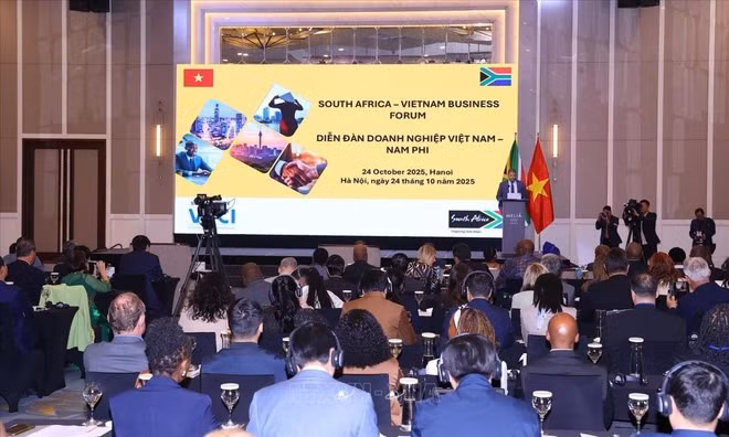 Vietnam, South Africa promote partnership for cooperation, development -0