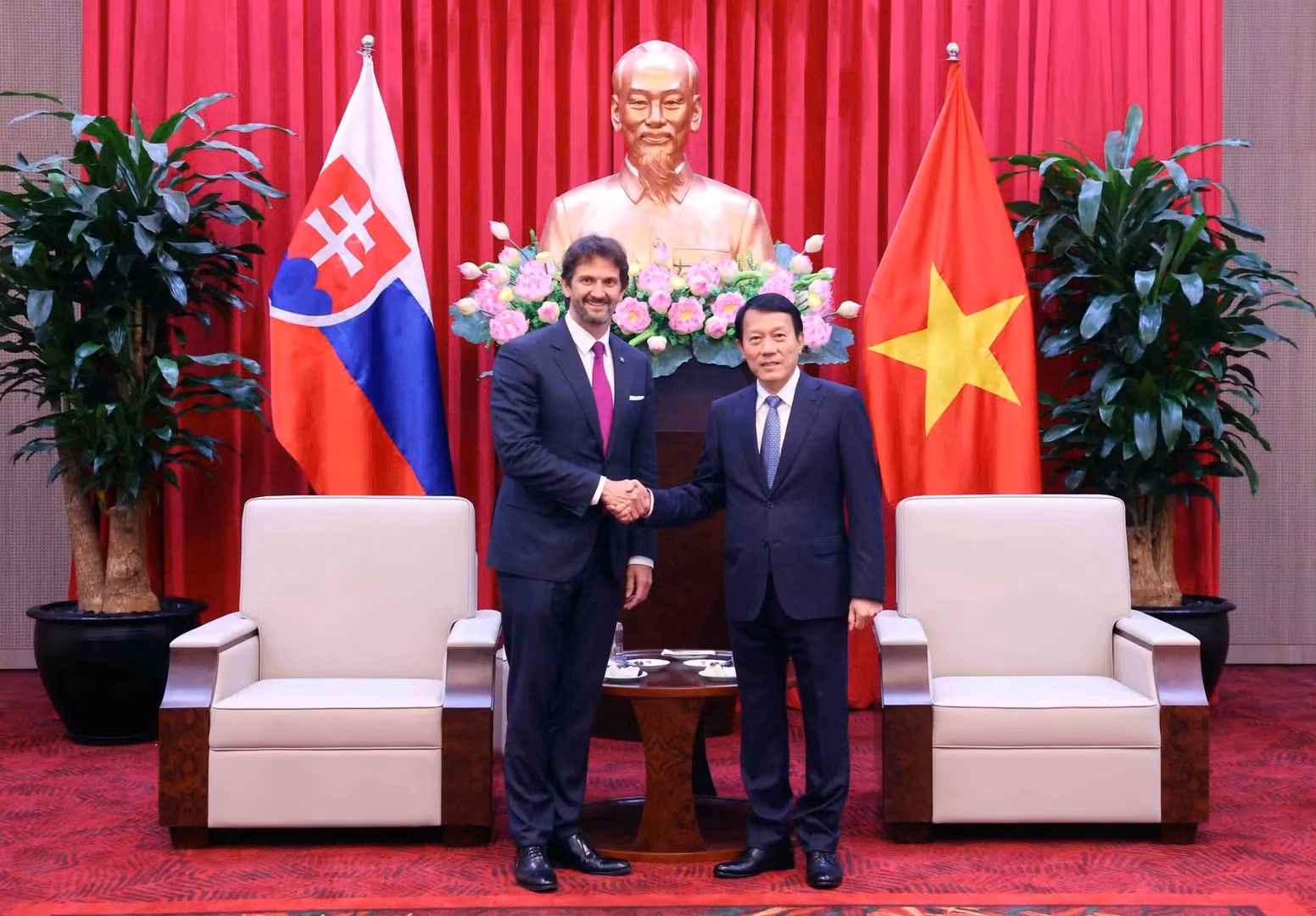 Minister Luong Tam Quang hosts Deputy Prime Minister, Minister of Defence of Slovakia -0