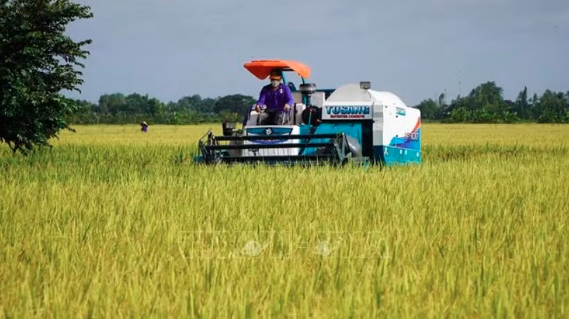 Vietnam, WB look to reduce emissions in rice cultivation -0