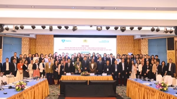 Offline cyberthreats decreasing steadily in Vietnam ảnh 3