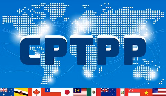 Vietnam willing to share information with China in joining CPTPP -0