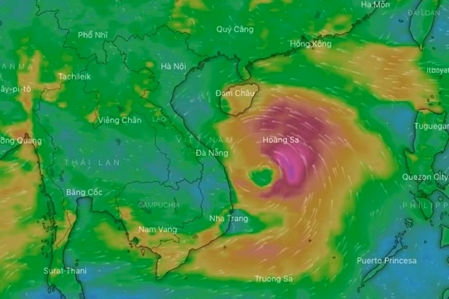 Public Security Forces asked to actively respond to tropical depression -0
