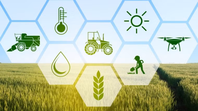 Vietnam towards suitable digital transformation in agriculture&nbsp; -0