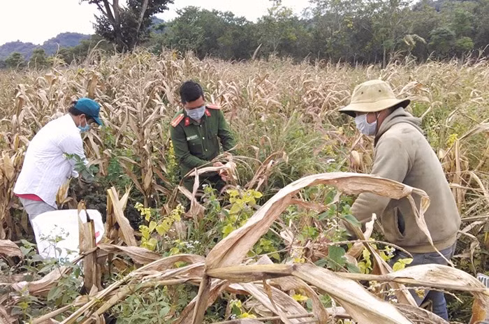 Local police help pandemic-hit residents harvest crops -0