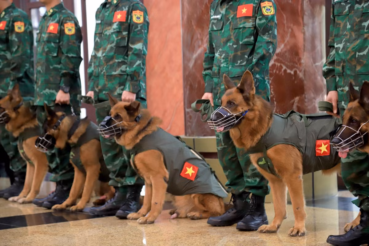 Vietnam sends more rescue workers to Turkey -0