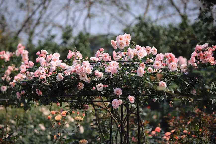 04.jpg -3